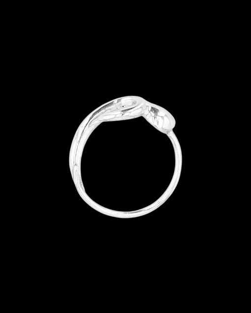 Cerebellum Ring